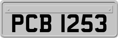PCB1253