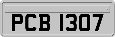 PCB1307