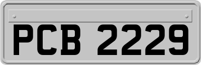 PCB2229
