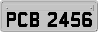 PCB2456