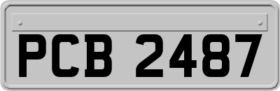 PCB2487