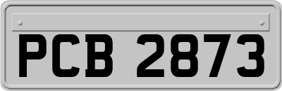 PCB2873