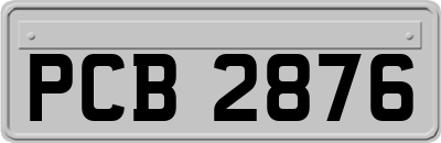 PCB2876