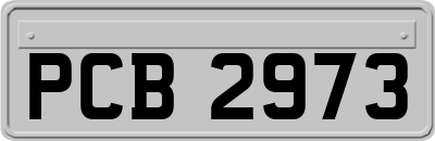 PCB2973