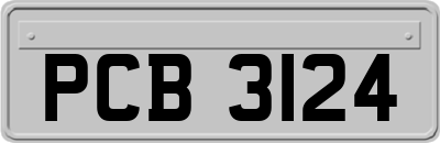 PCB3124