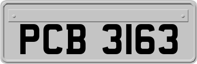 PCB3163
