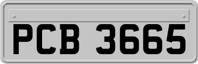 PCB3665