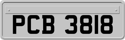 PCB3818