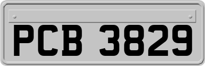 PCB3829