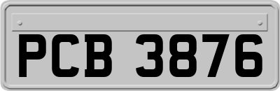 PCB3876