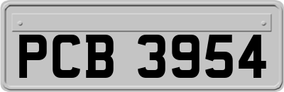 PCB3954