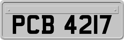 PCB4217