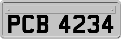 PCB4234