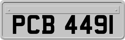 PCB4491