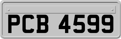 PCB4599