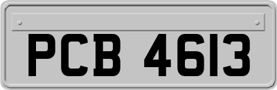 PCB4613
