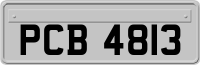 PCB4813