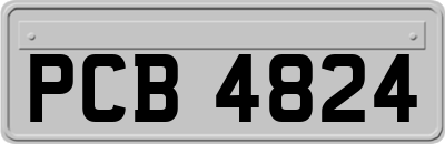 PCB4824