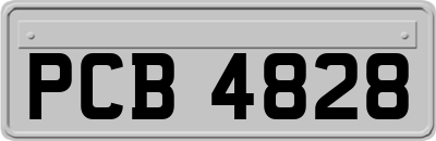 PCB4828