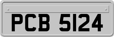 PCB5124