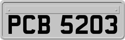 PCB5203