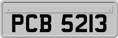PCB5213