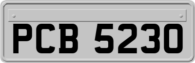 PCB5230