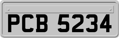 PCB5234