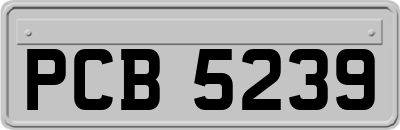 PCB5239