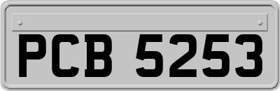 PCB5253
