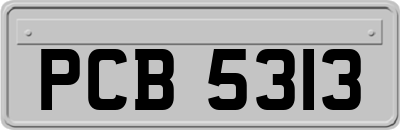 PCB5313