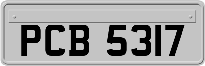PCB5317