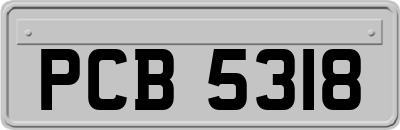 PCB5318
