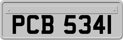 PCB5341