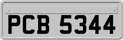 PCB5344