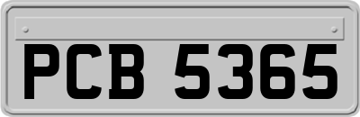 PCB5365