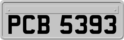 PCB5393