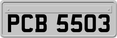 PCB5503