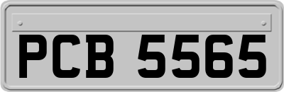 PCB5565