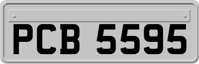 PCB5595