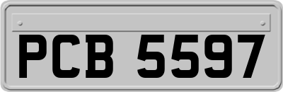 PCB5597