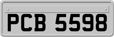 PCB5598