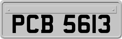 PCB5613