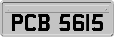 PCB5615