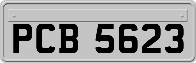 PCB5623