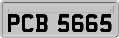 PCB5665