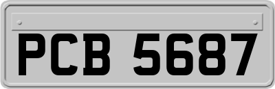 PCB5687