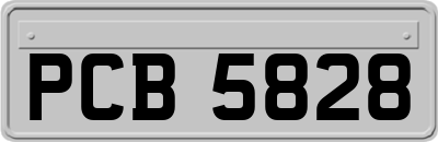 PCB5828