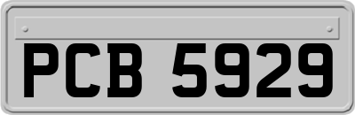 PCB5929