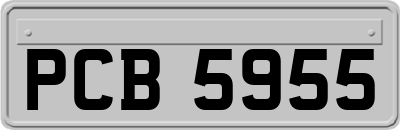 PCB5955